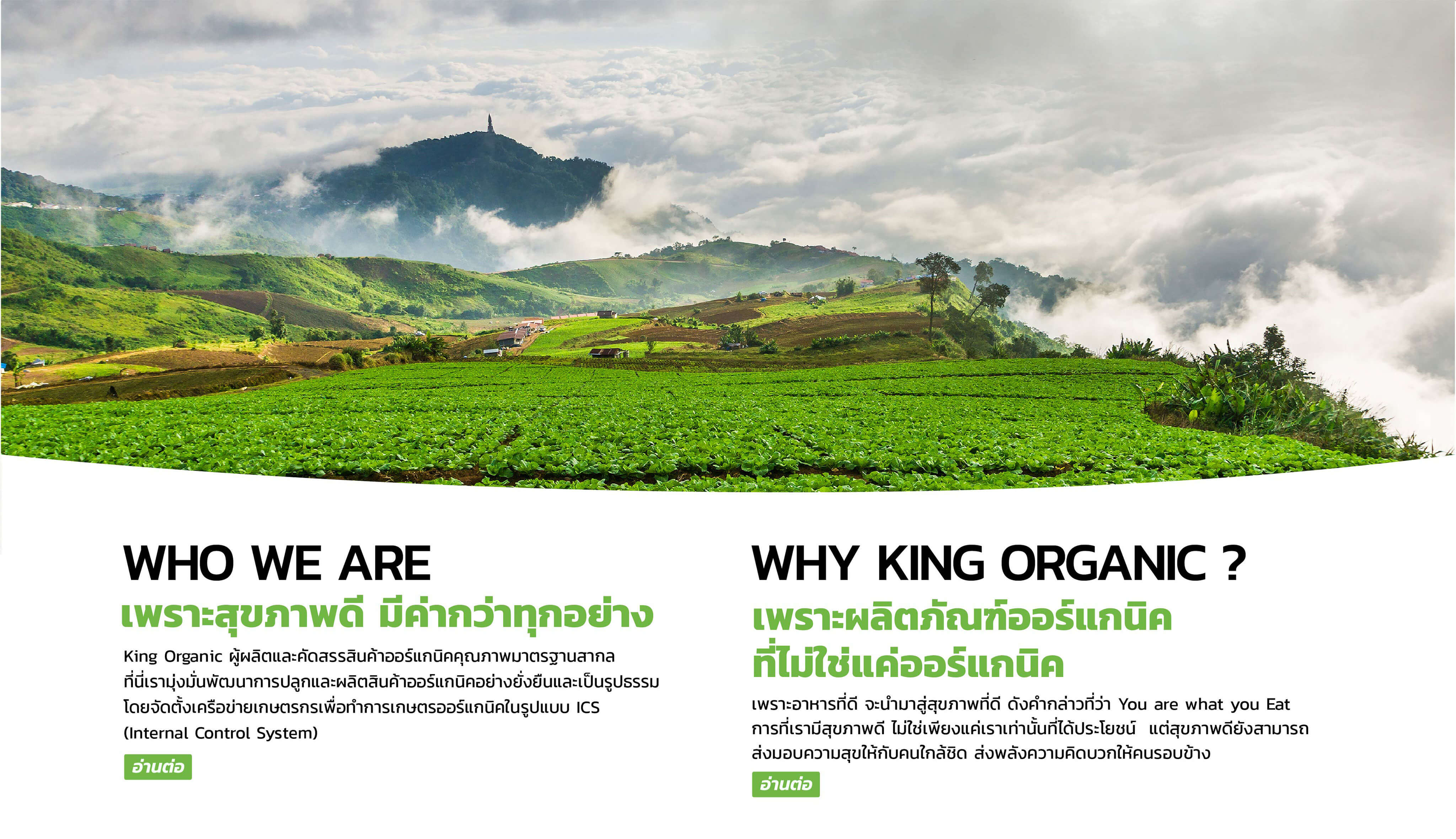 ที่ King Organic เรามุ่งมั่น ส่งเสริม สร้างสรรค์ผลิตภัณฑ์ทางการเกษตรที่สะอาด ปลอดภัย เป็นมิตรต่อสุขภาพ และที่สำคัญ ต้องเป็นมิตรกับสิ่งแวดล้อม เพราะอาหารที่ดี จะนำมาสู่สุขภาพที่ดี ดังคำกล่าวที่ว่า You are what you Eat